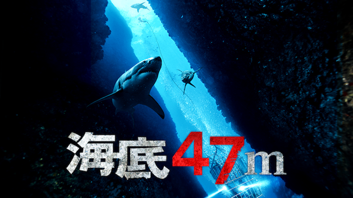 海底47ｍの画像