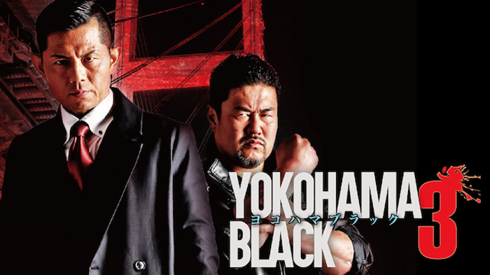 YOKOHAMA BLACK3の画像
